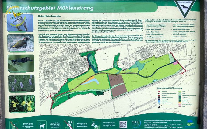 Naturschutzgebiet Muehlenstrang