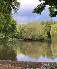 Grüntaler Teich