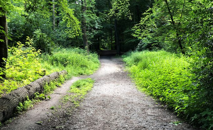 Weg Rundwanderweg A2 Sommerseite