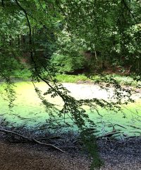 Blauer See